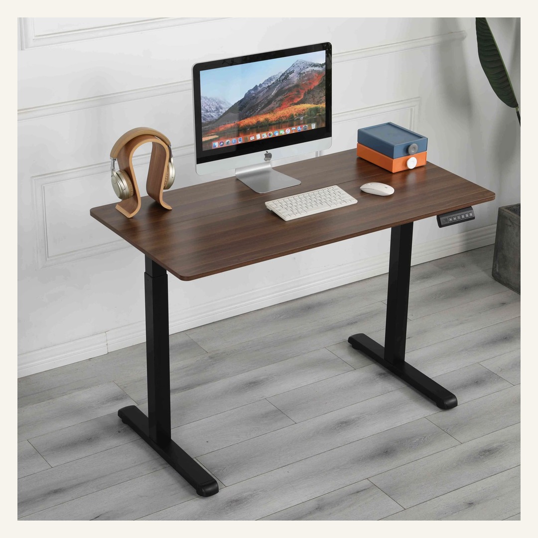Modern Single Motor Sit Stand Desk