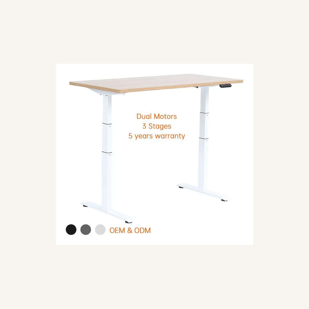 Dual Motor Gaming Standing Desk