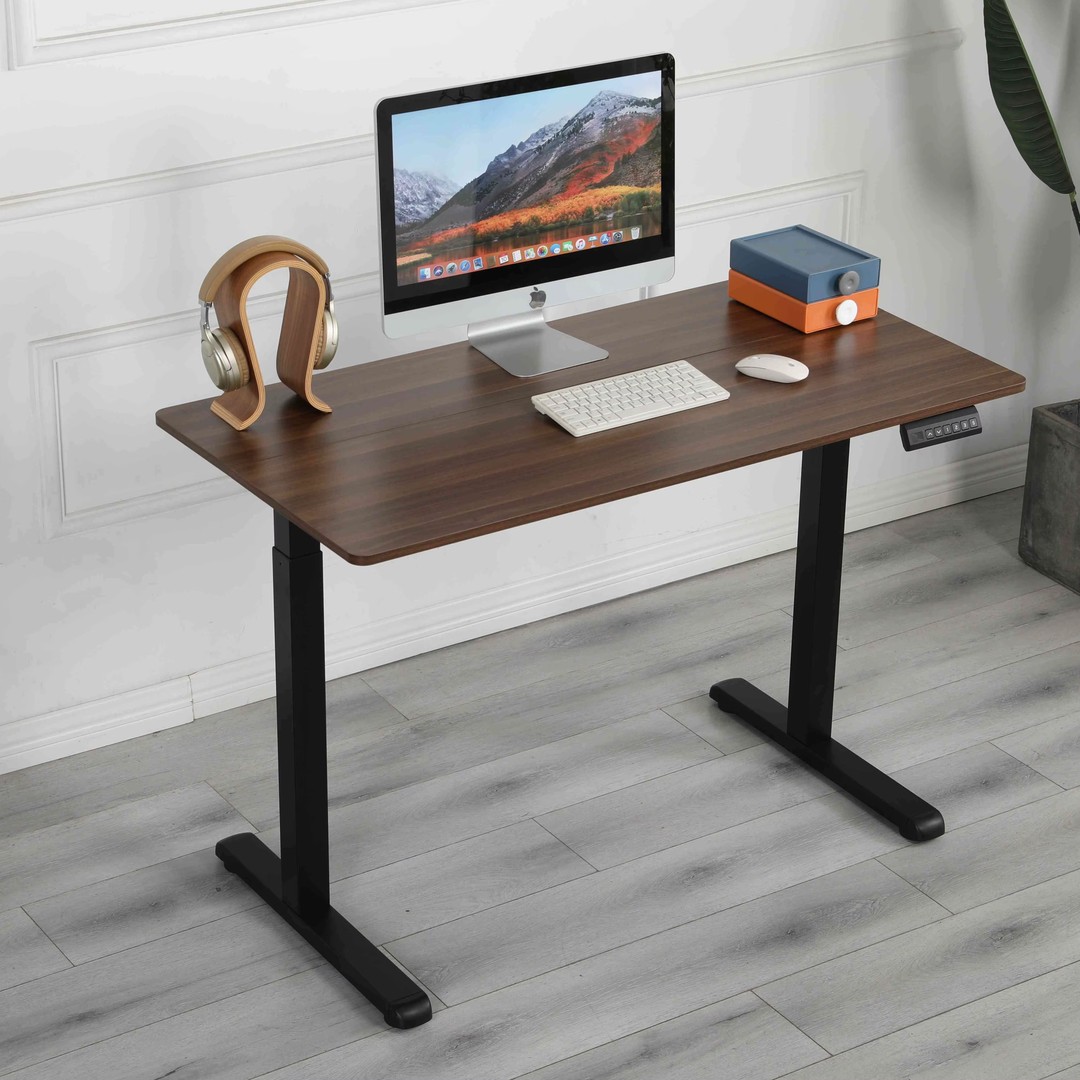 Single Motor Electric Standing Desk